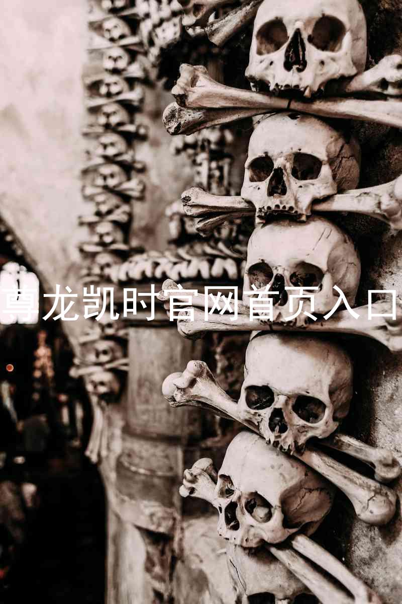 尊龙凯时官网首页入口