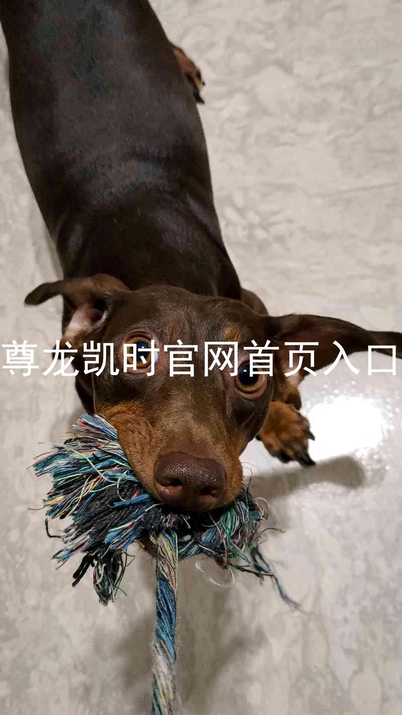 尊龙凯时官网首页入口
